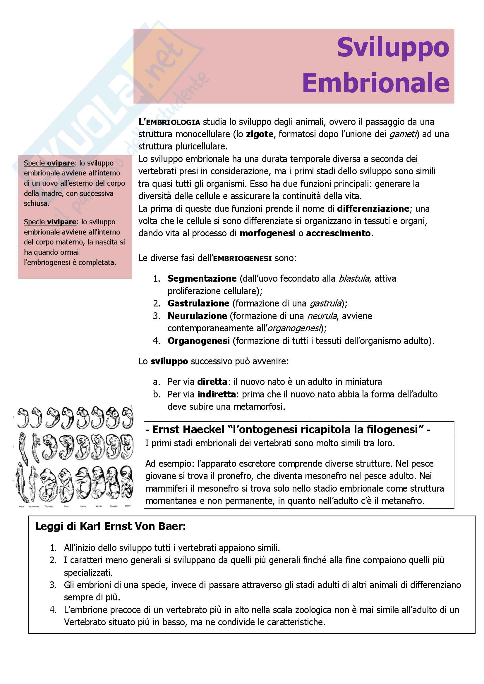 Segmentazione Pag. 1