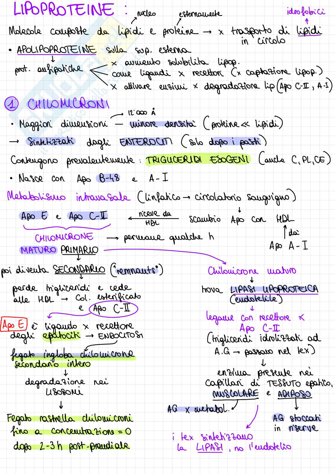 Biochimica del metabolismo lipidico Pag. 2