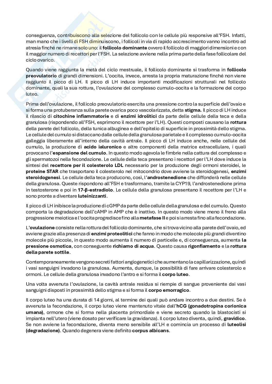 Riassunto esame Fisiopatologia dei sistemi, Prof. Mulè Flavia, libro consigliato Fisiologia - settima edizione, Berne, Levy Pag. 2