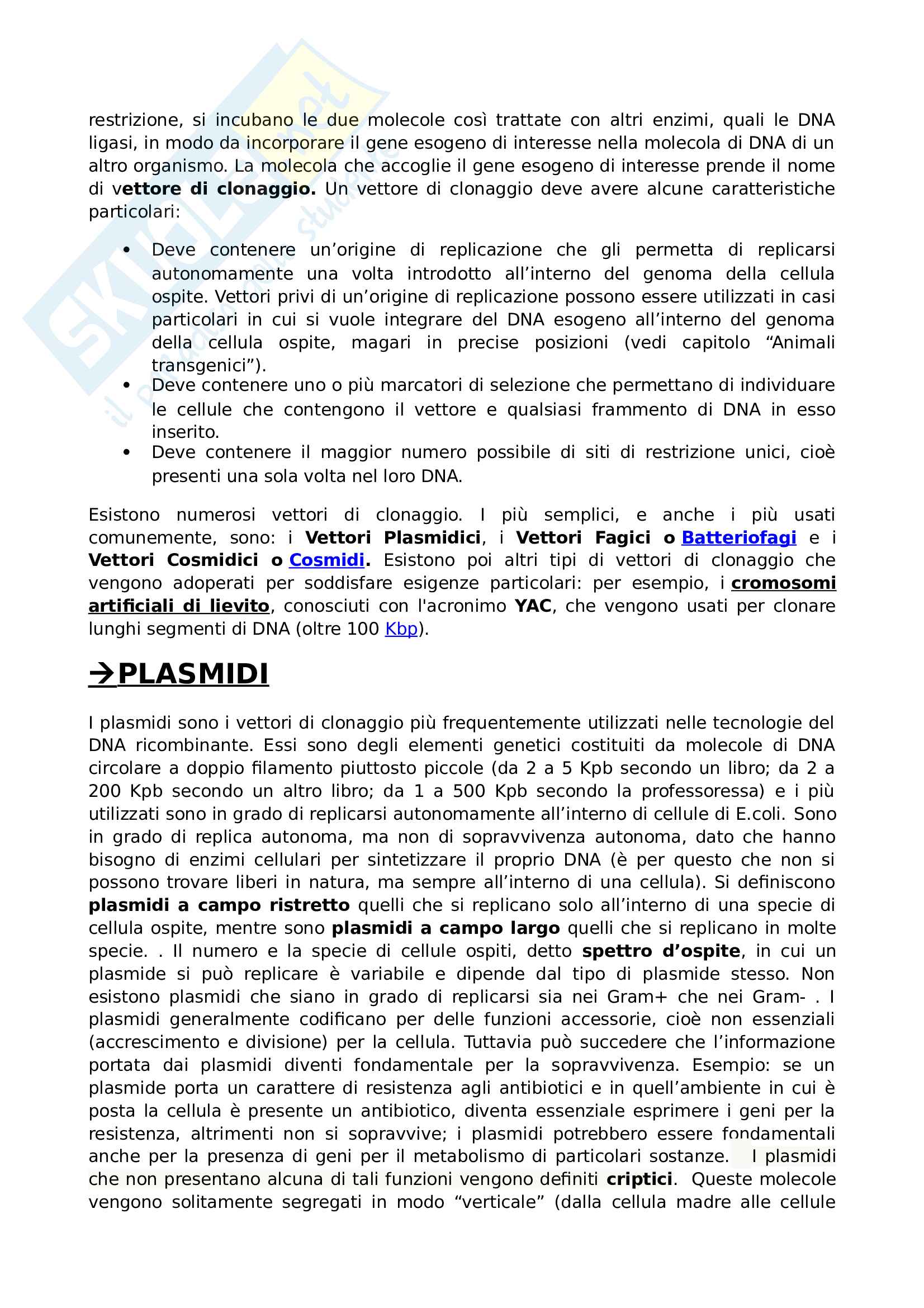 4 DNA Ricombinante:enzimi di restrizione, vettori di clonaggio (plasmidi, cosmidi, cromosomi bac, lieviti, batteriofago lambda) Pag. 6