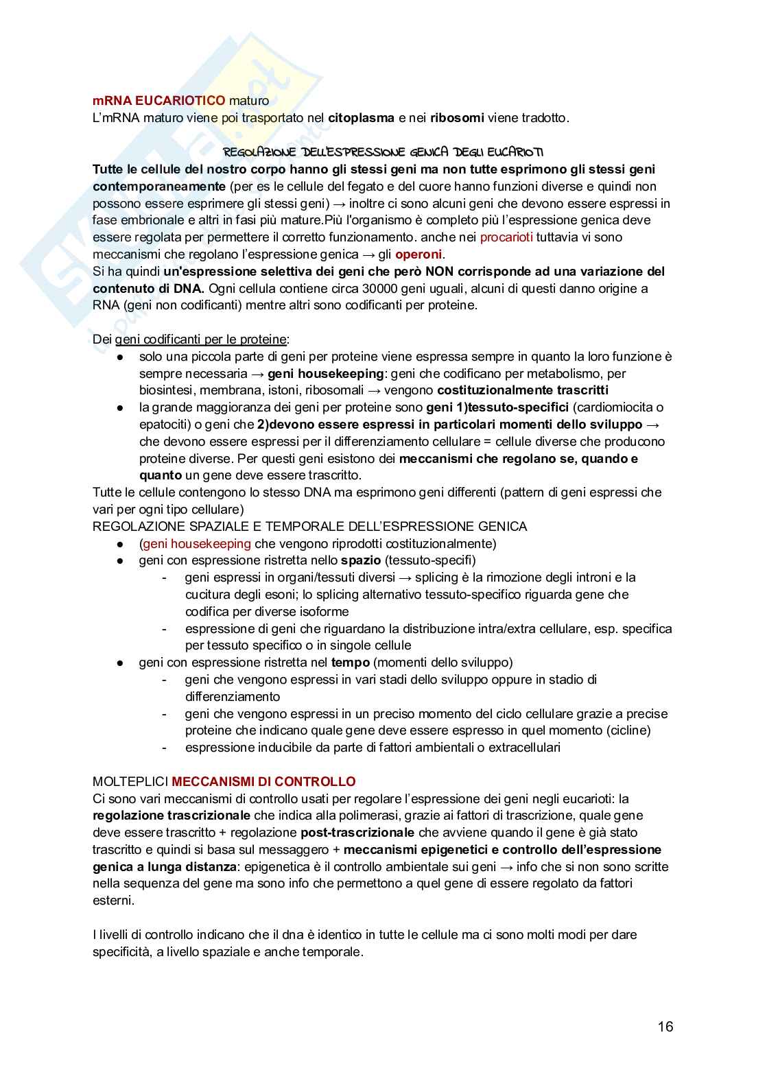 Genetica Pag. 16