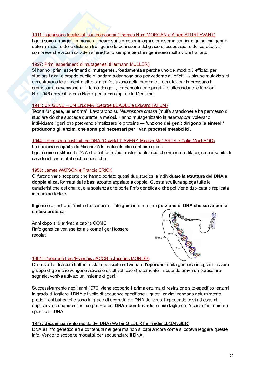 Genetica Pag. 2