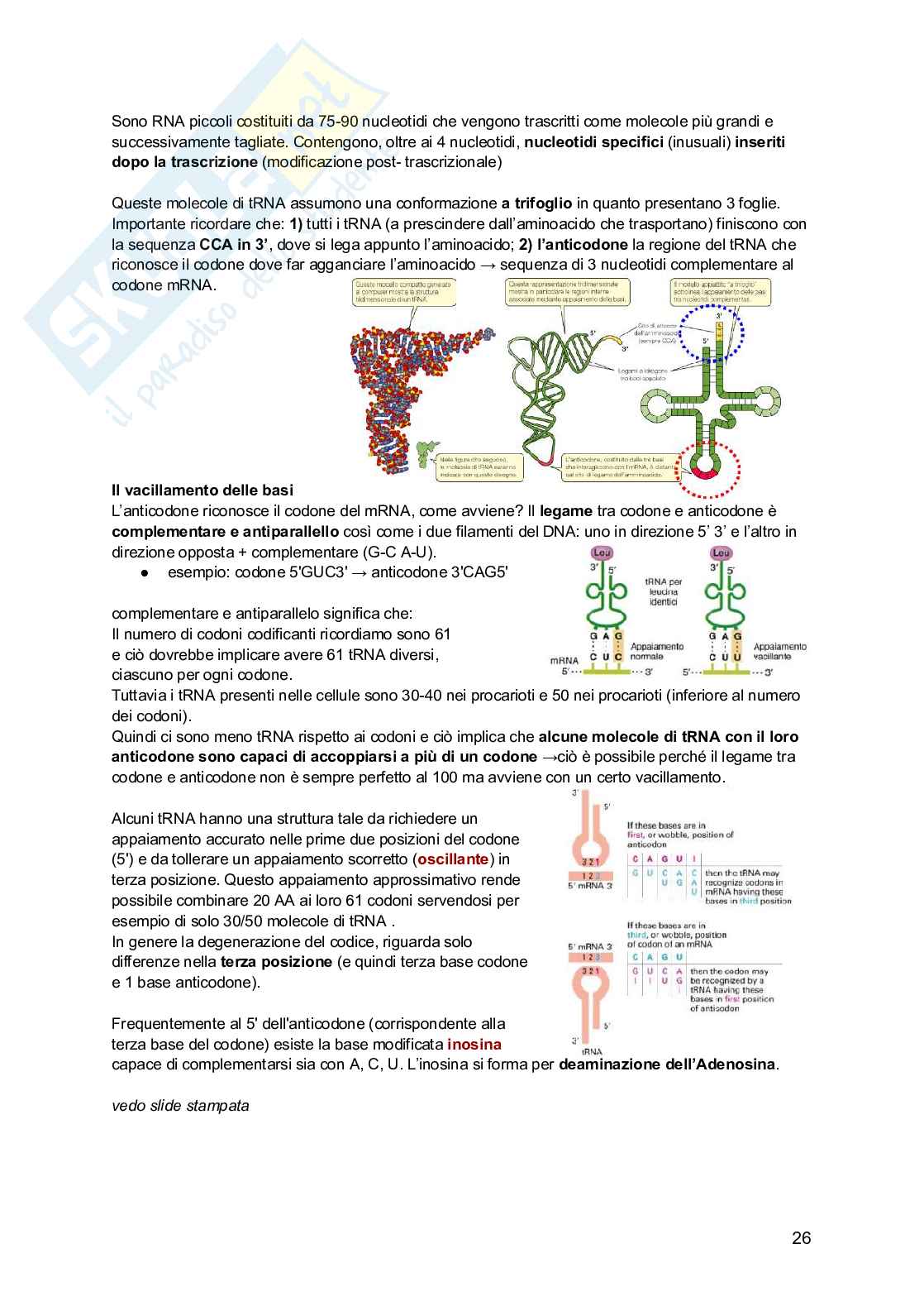 Genetica Pag. 26