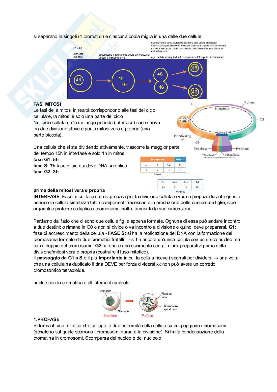 Genetica Pag. 31