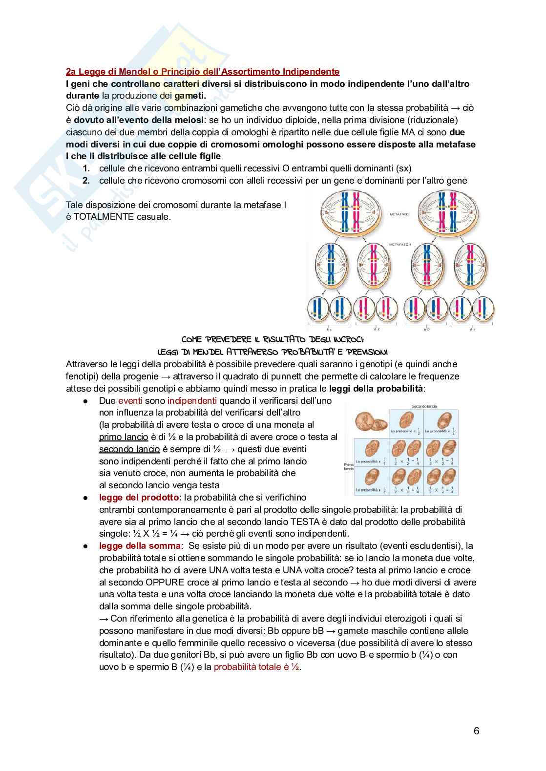 Genetica Pag. 41