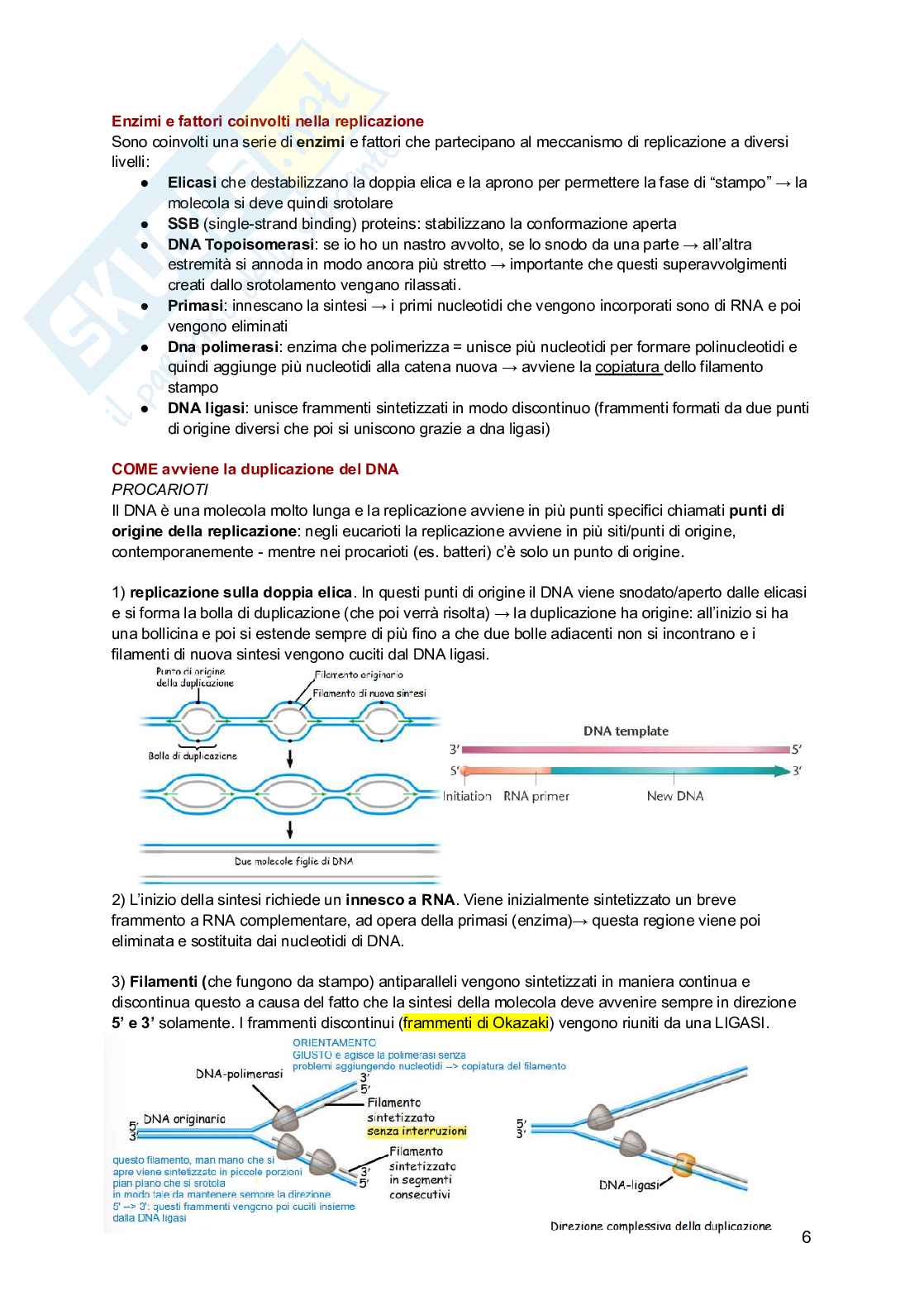 Genetica Pag. 6