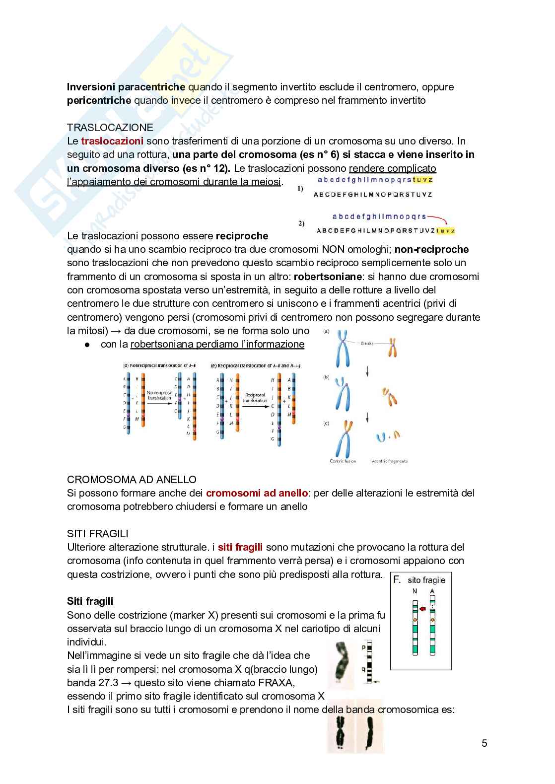 Genetica Pag. 81