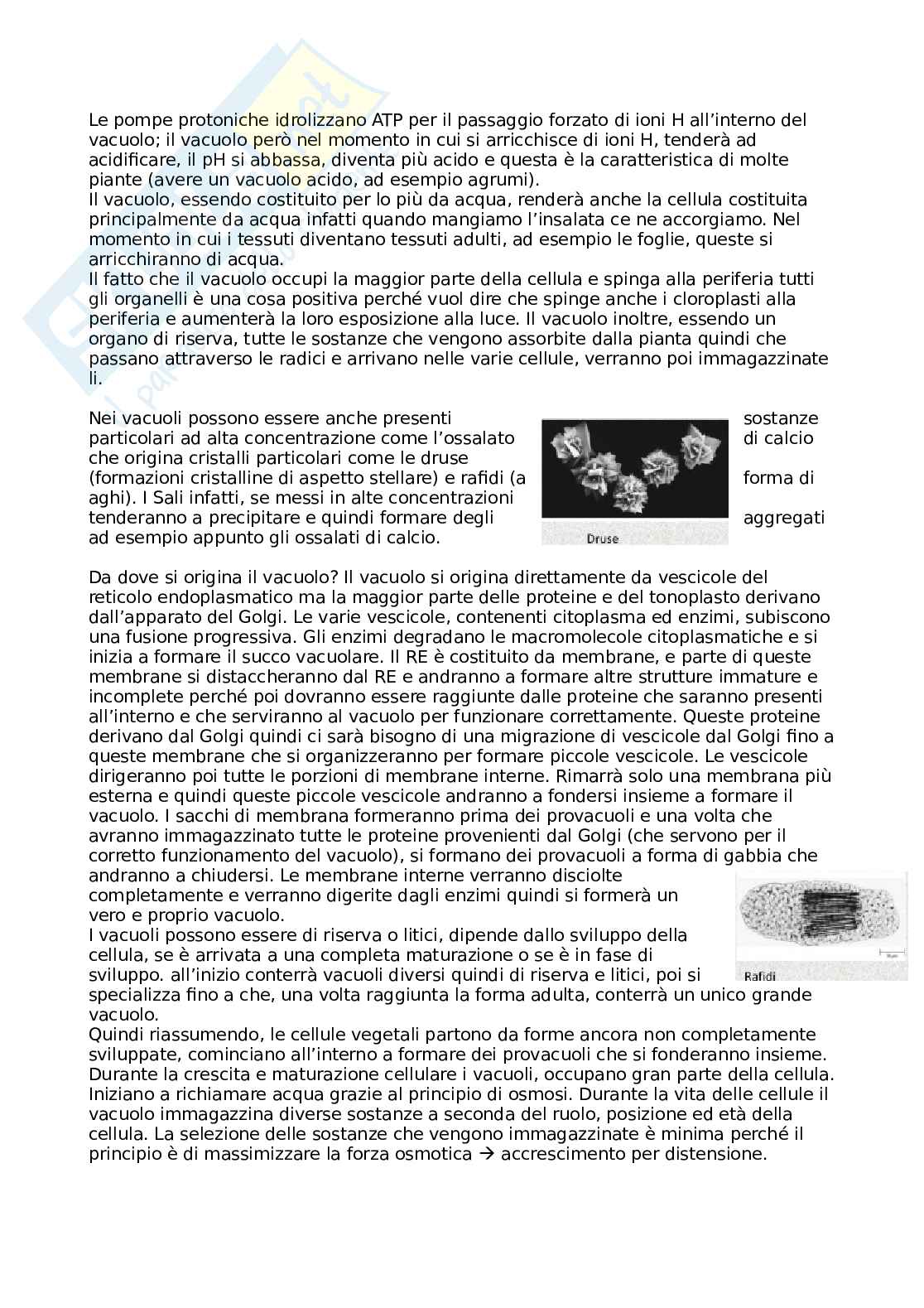 Botanica Pag. 26