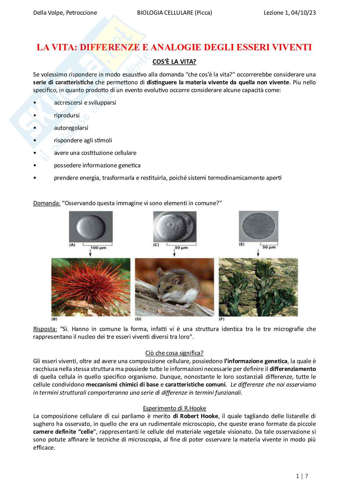 Riassunto esame Biologia, Prof. Di Tommaso Caterina, libro consigliato Biologia e genetica, Edises Pag. 1