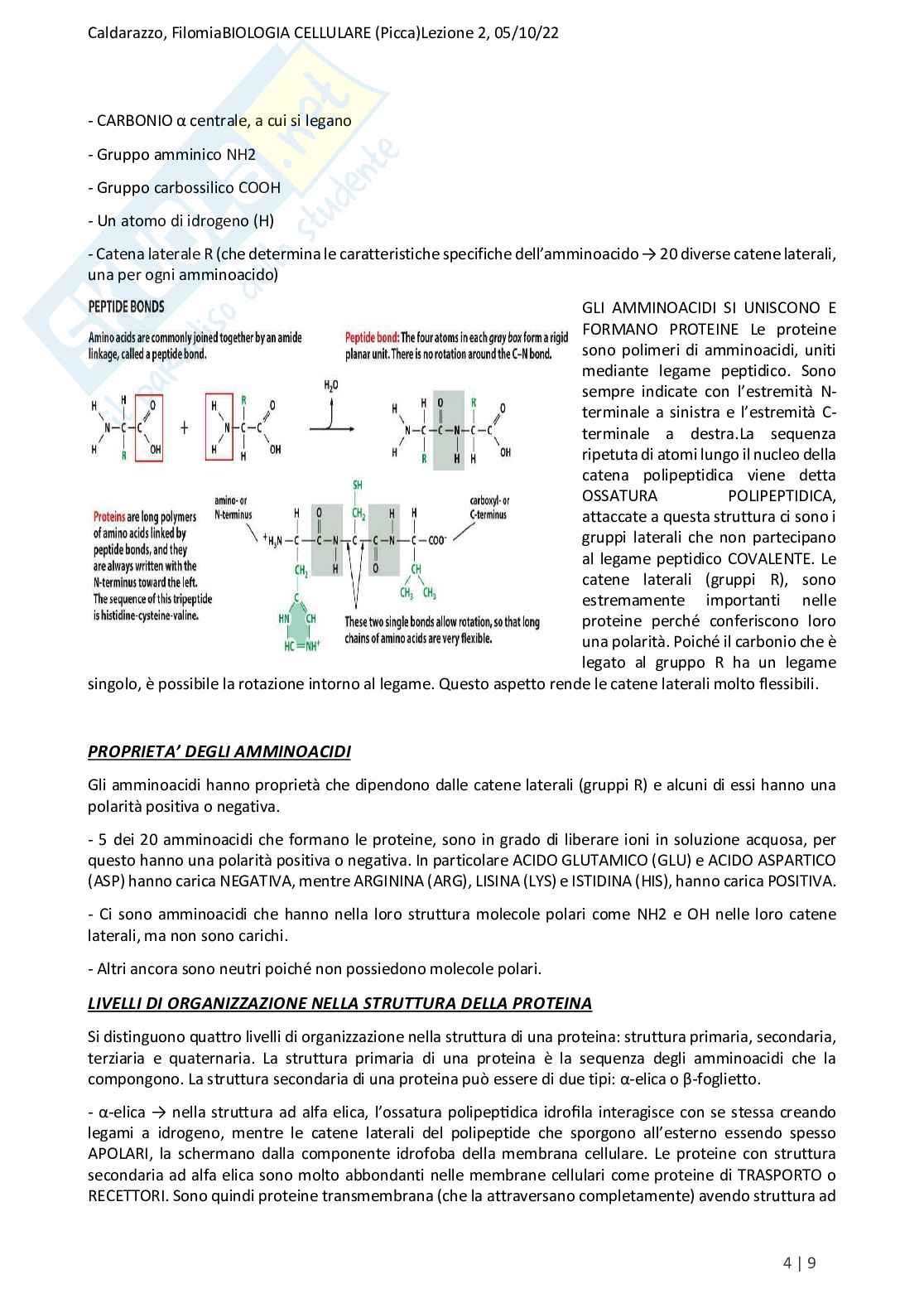 Riassunto esame Biologia, Prof. Di Tommaso Caterina, libro consigliato Biologia e genetica, Edises Pag. 11