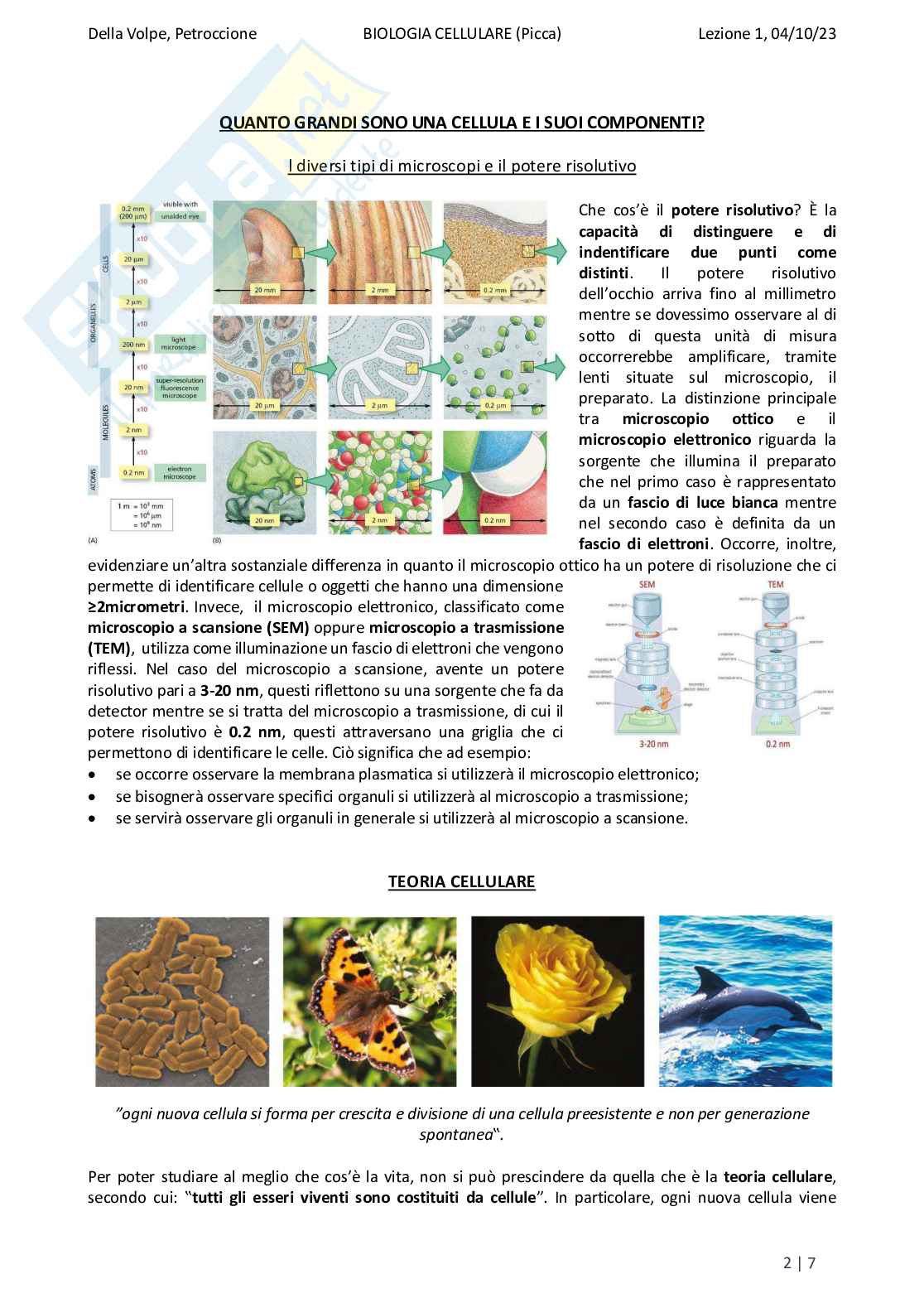 Riassunto esame Biologia, Prof. Di Tommaso Caterina, libro consigliato Biologia e genetica, Edises Pag. 2
