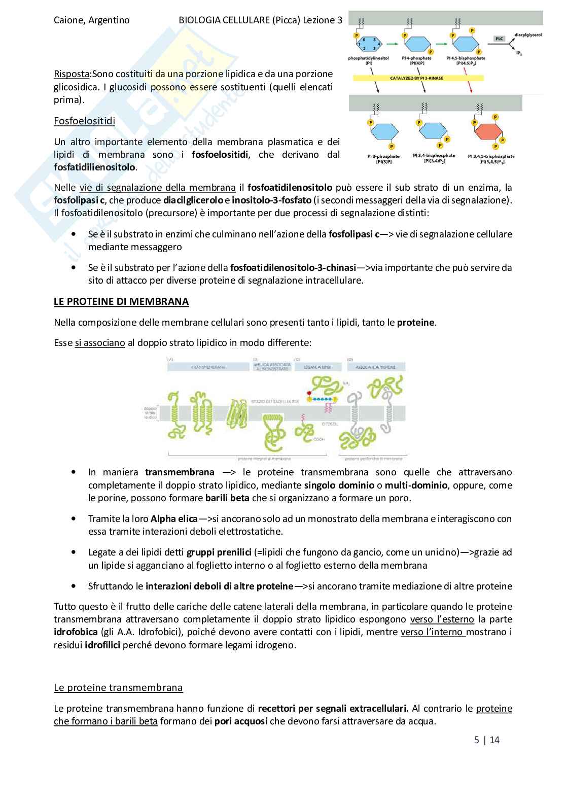 Riassunto esame Biologia, Prof. Di Tommaso Caterina, libro consigliato Biologia e genetica, Edises Pag. 21