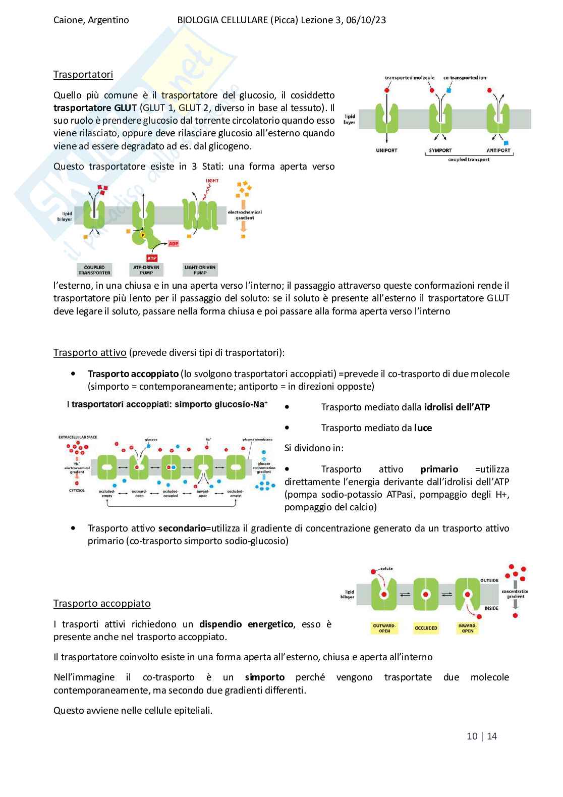 Riassunto esame Biologia, Prof. Di Tommaso Caterina, libro consigliato Biologia e genetica, Edises Pag. 26
