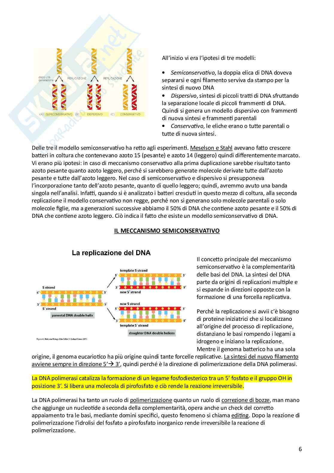 Riassunto esame Biologia, Prof. Di Tommaso Caterina, libro consigliato Biologia e genetica, Edises Pag. 36