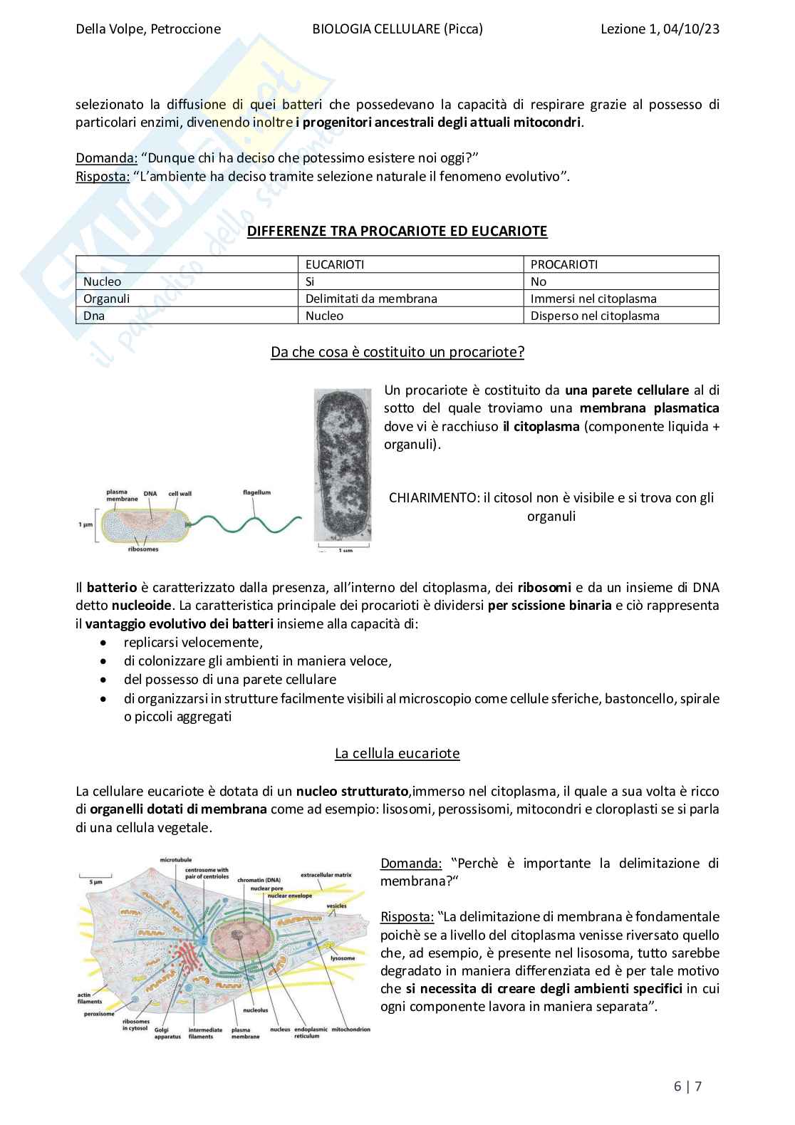 Riassunto esame Biologia, Prof. Di Tommaso Caterina, libro consigliato Biologia e genetica, Edises Pag. 6