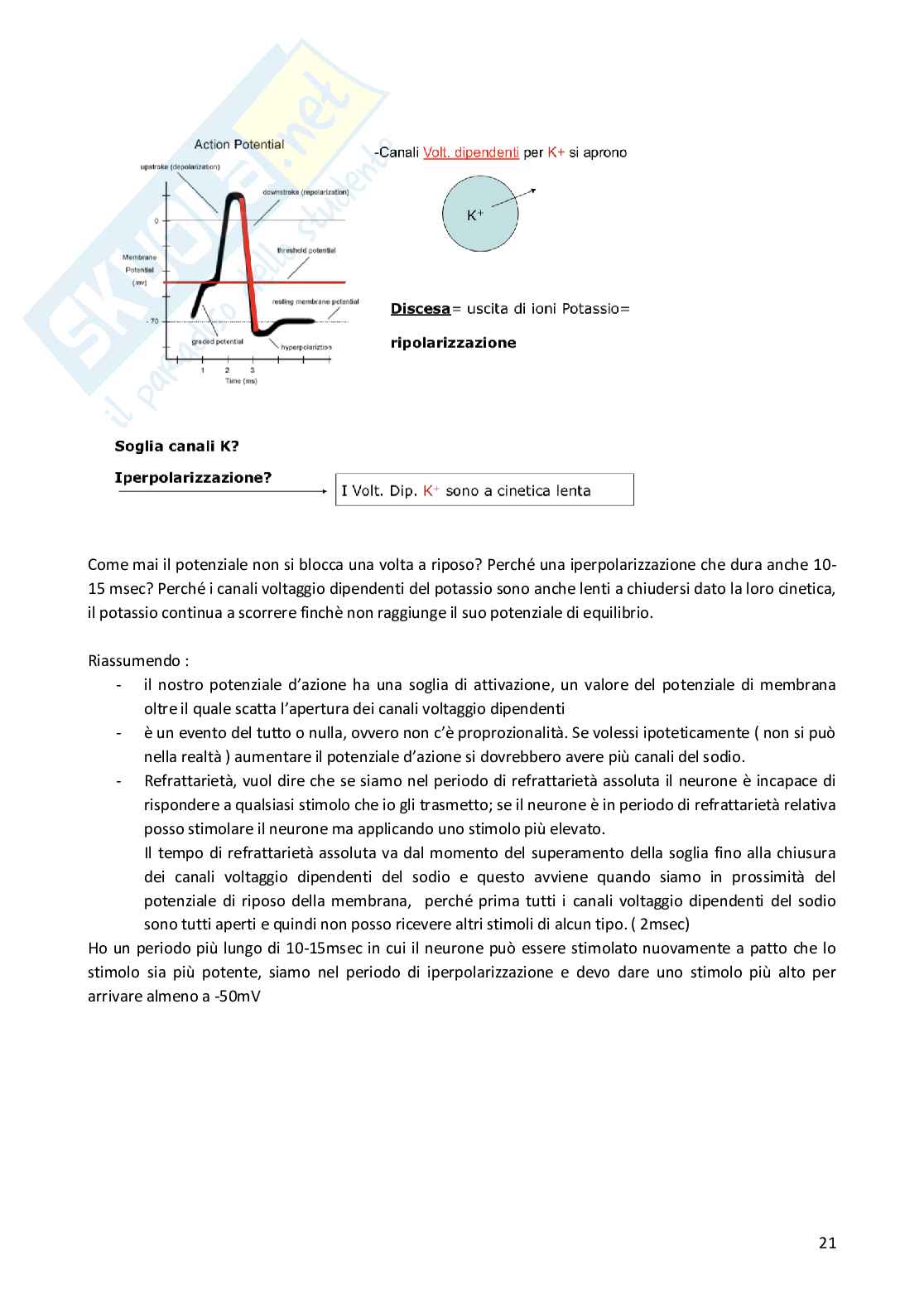 fisiologia Pag. 21