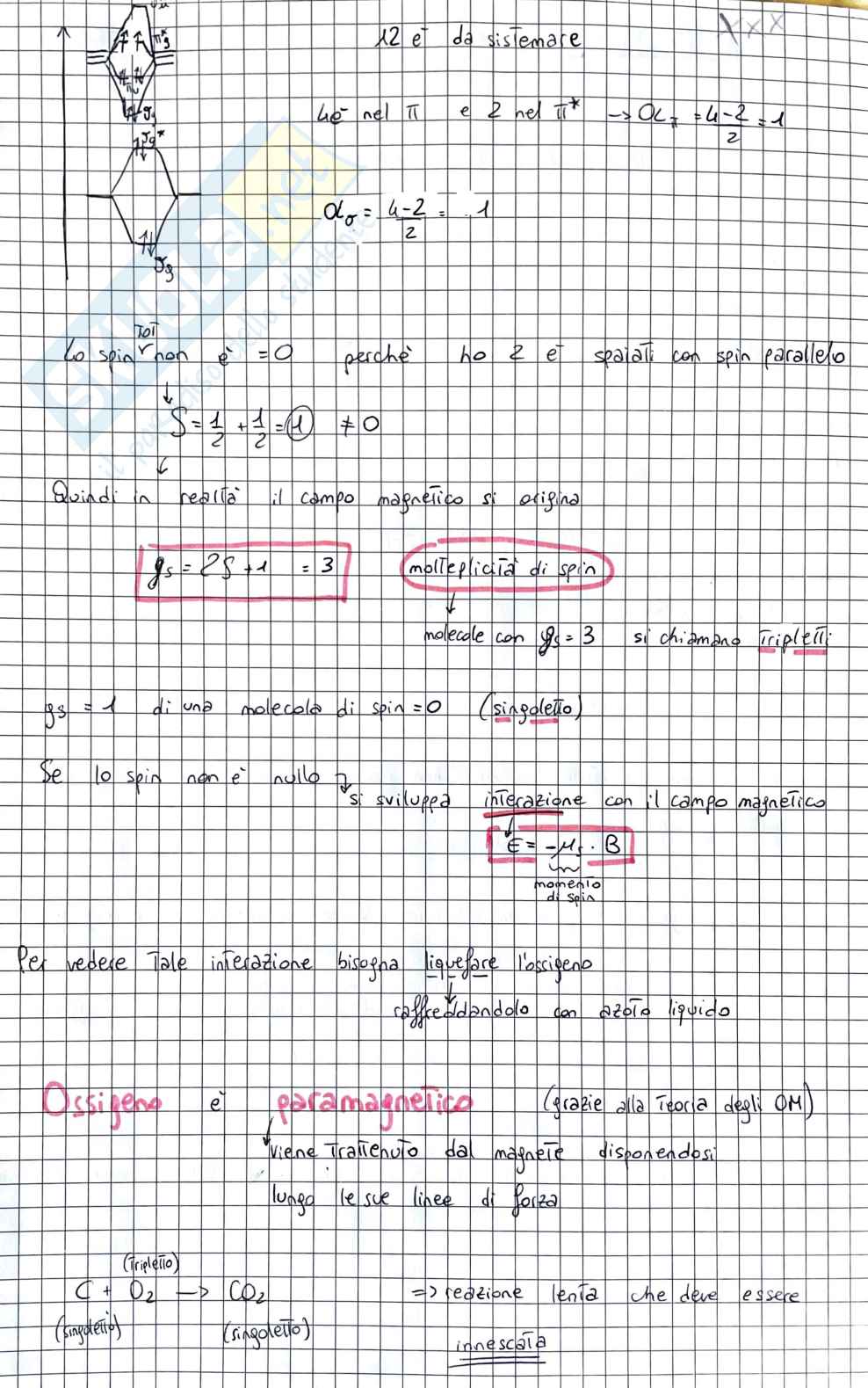 Esame chimica inorganica - seconda parte Pag. 6