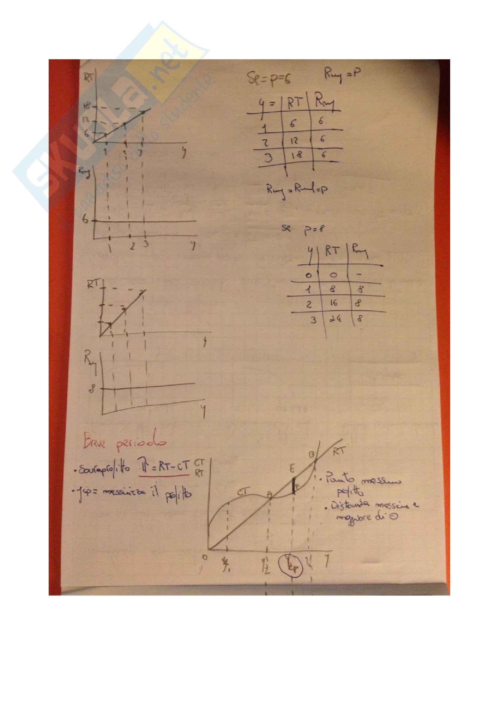 Istituzioni di economia - la concorrenza perfetta Pag. 2