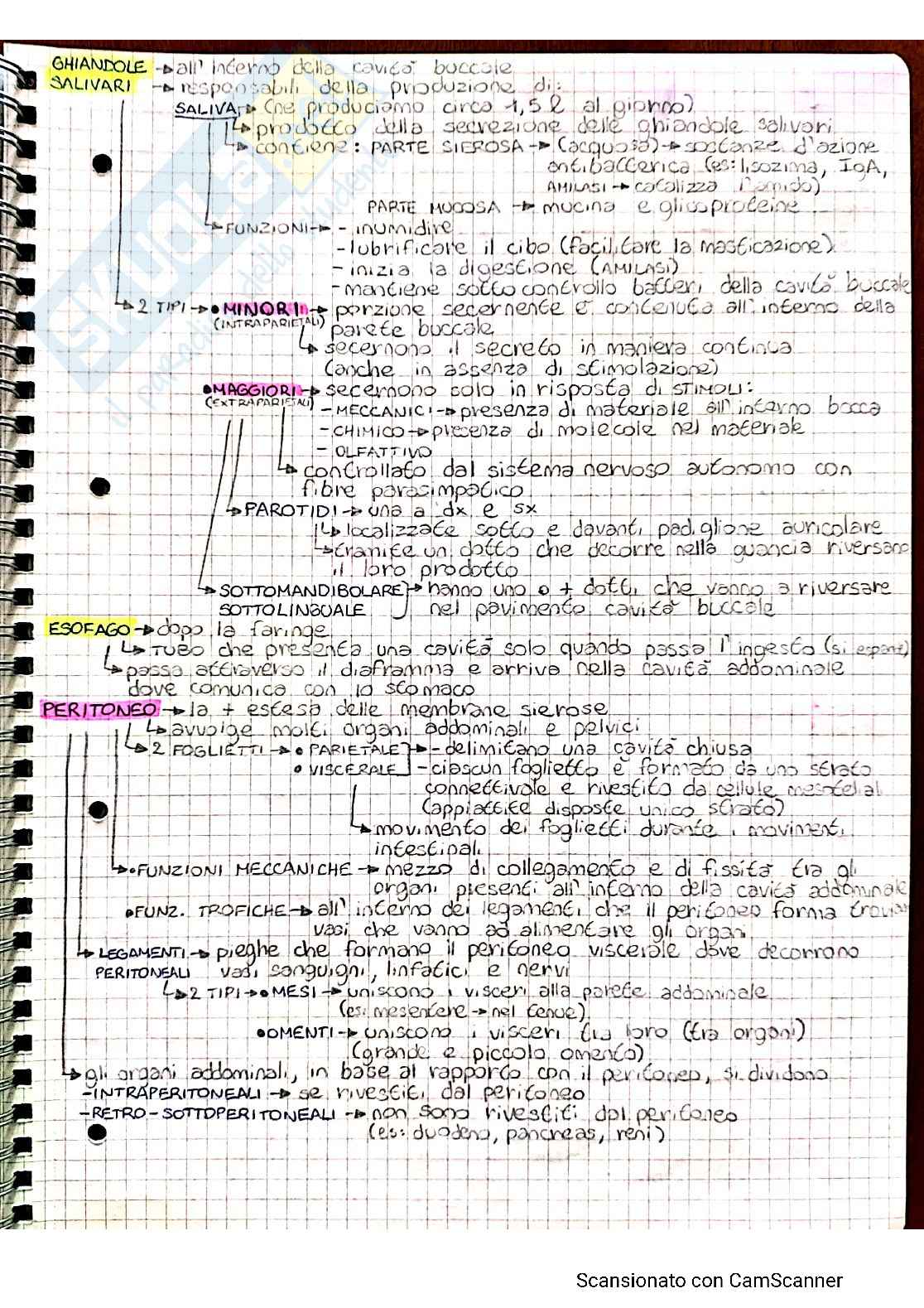 Anatomia umana 2 Pag. 16