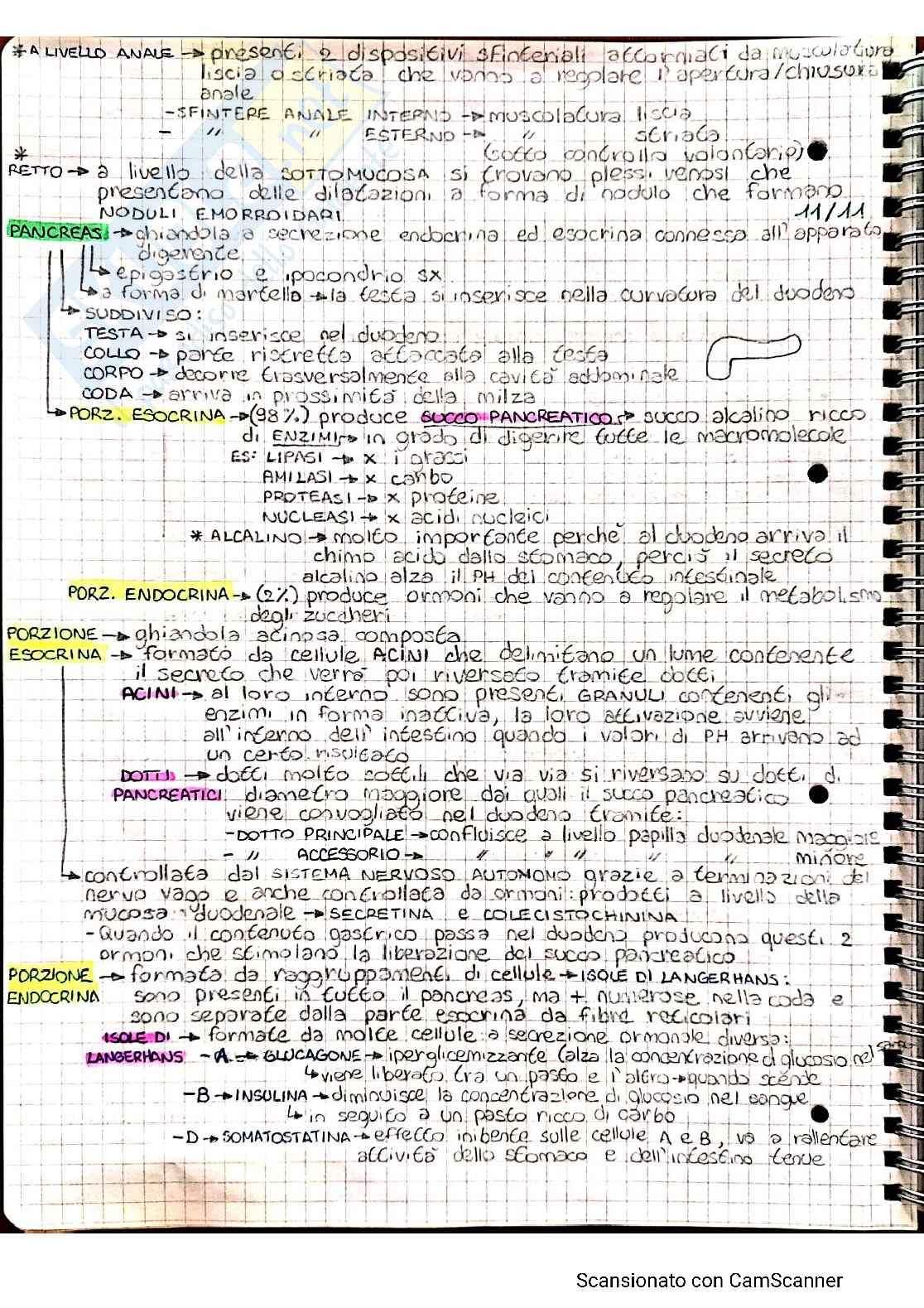 Anatomia umana 2 Pag. 21