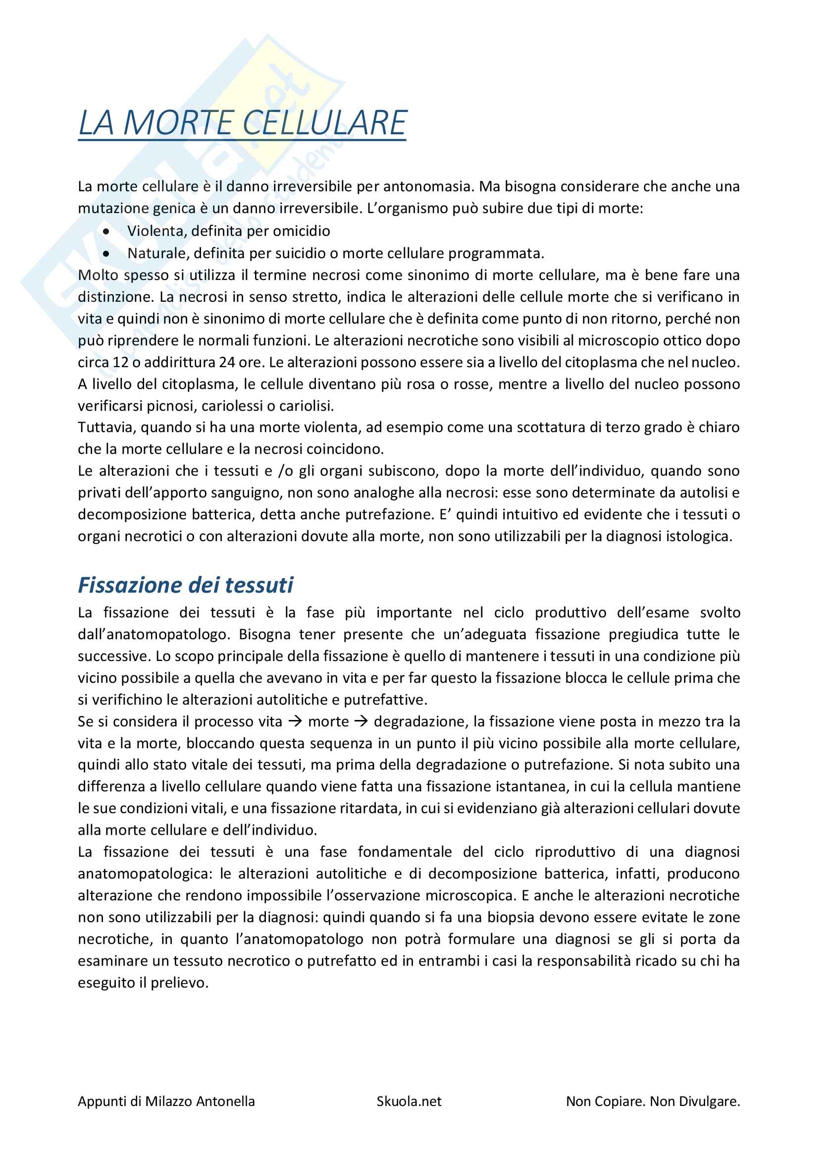 Anatomia Patologica Pag. 11