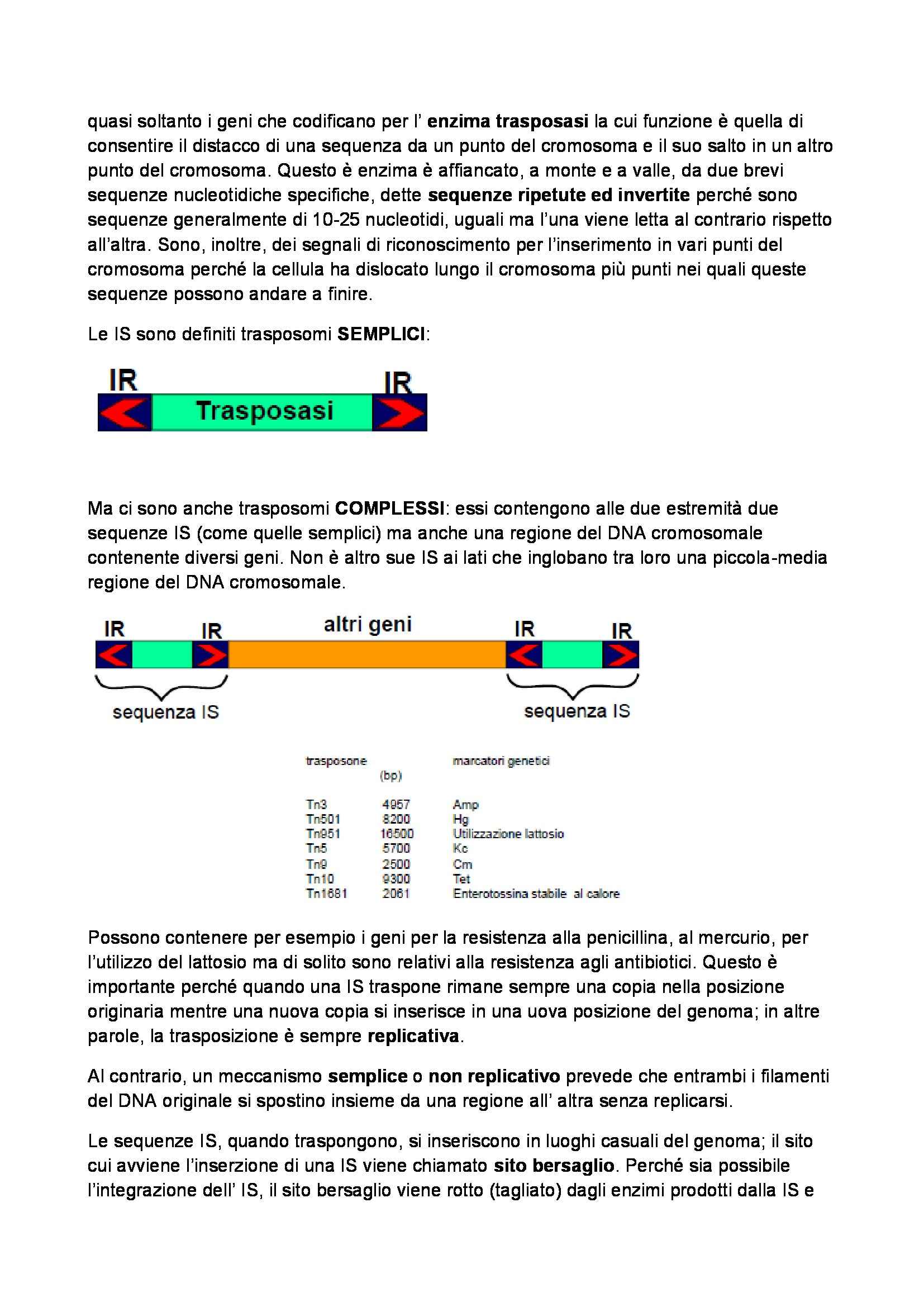 Biotecnologie microbiche - Appunti Pag. 36