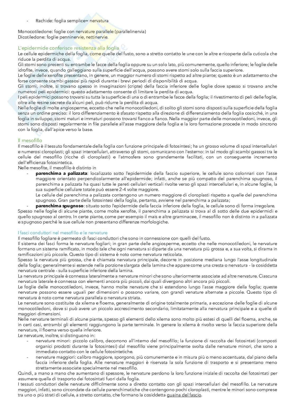 Riassunto esame Biologia animale, Prof. Maxia Andrea, libro consigliato Biologia delle piante di Raven, Peter H. Raven Pag. 26