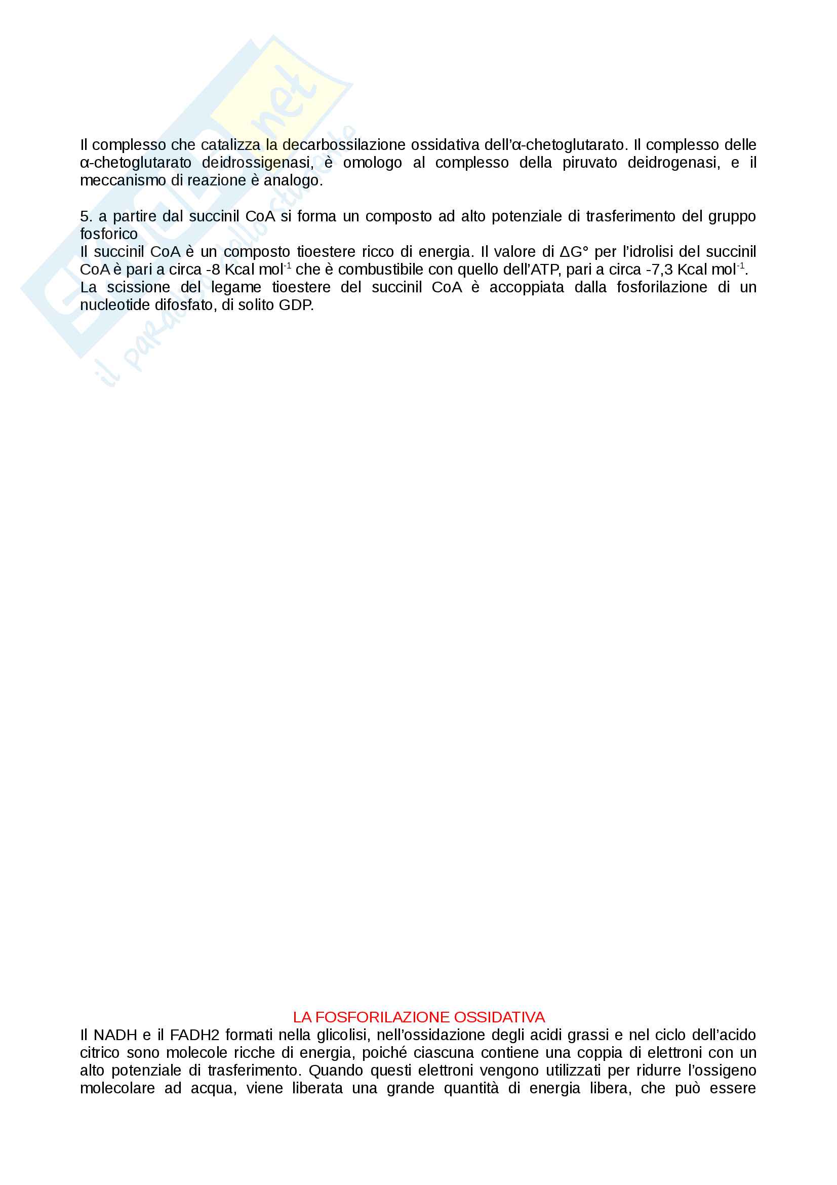 Appunti biochimica Pag. 36