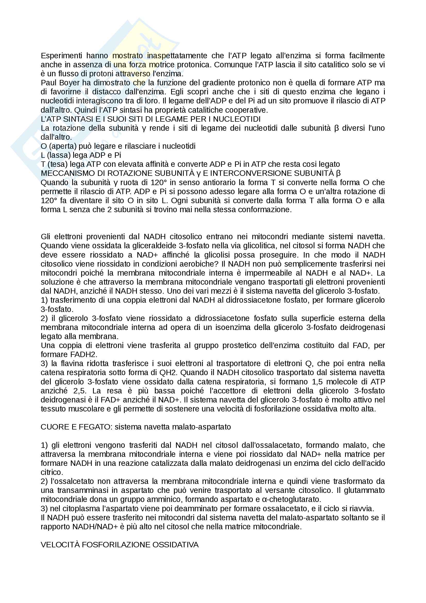 Appunti biochimica Pag. 41