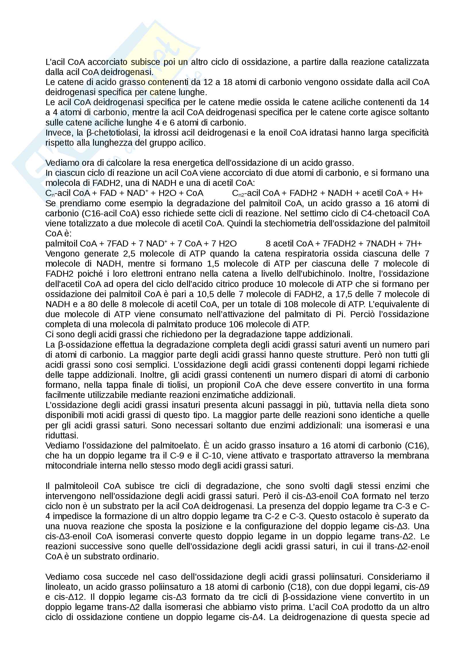 Appunti biochimica Pag. 56