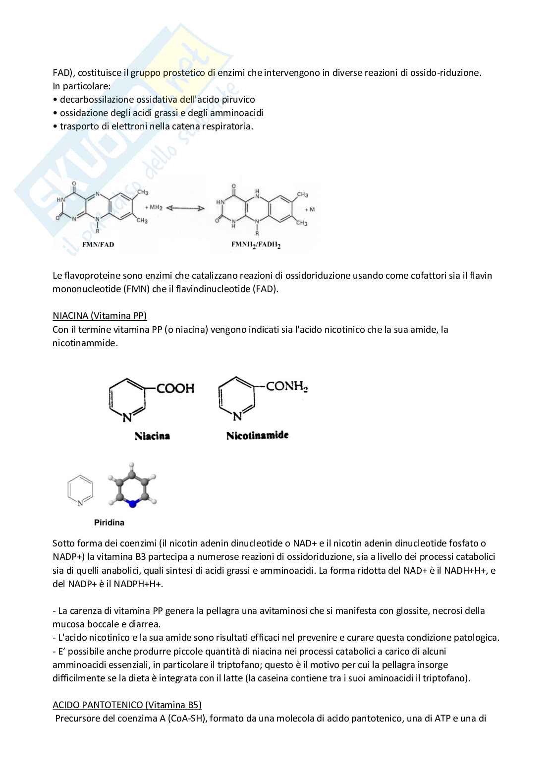 Vitamine e ormoni Pag. 2