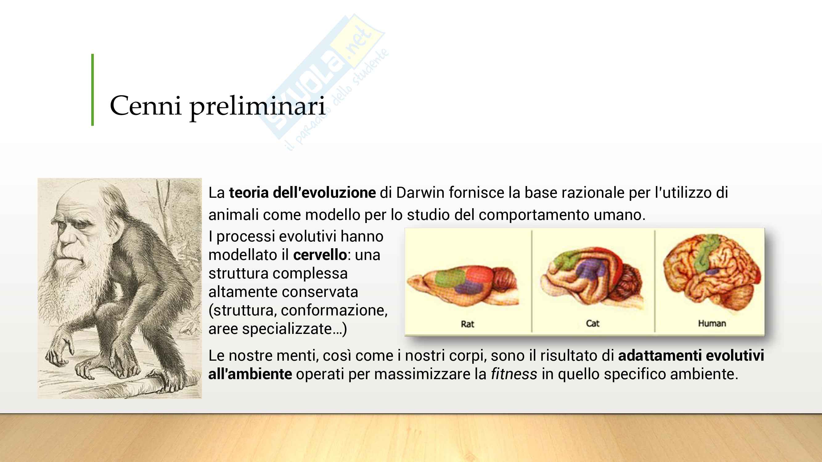 Schemi Basi biologiche del comportamento Pag. 2