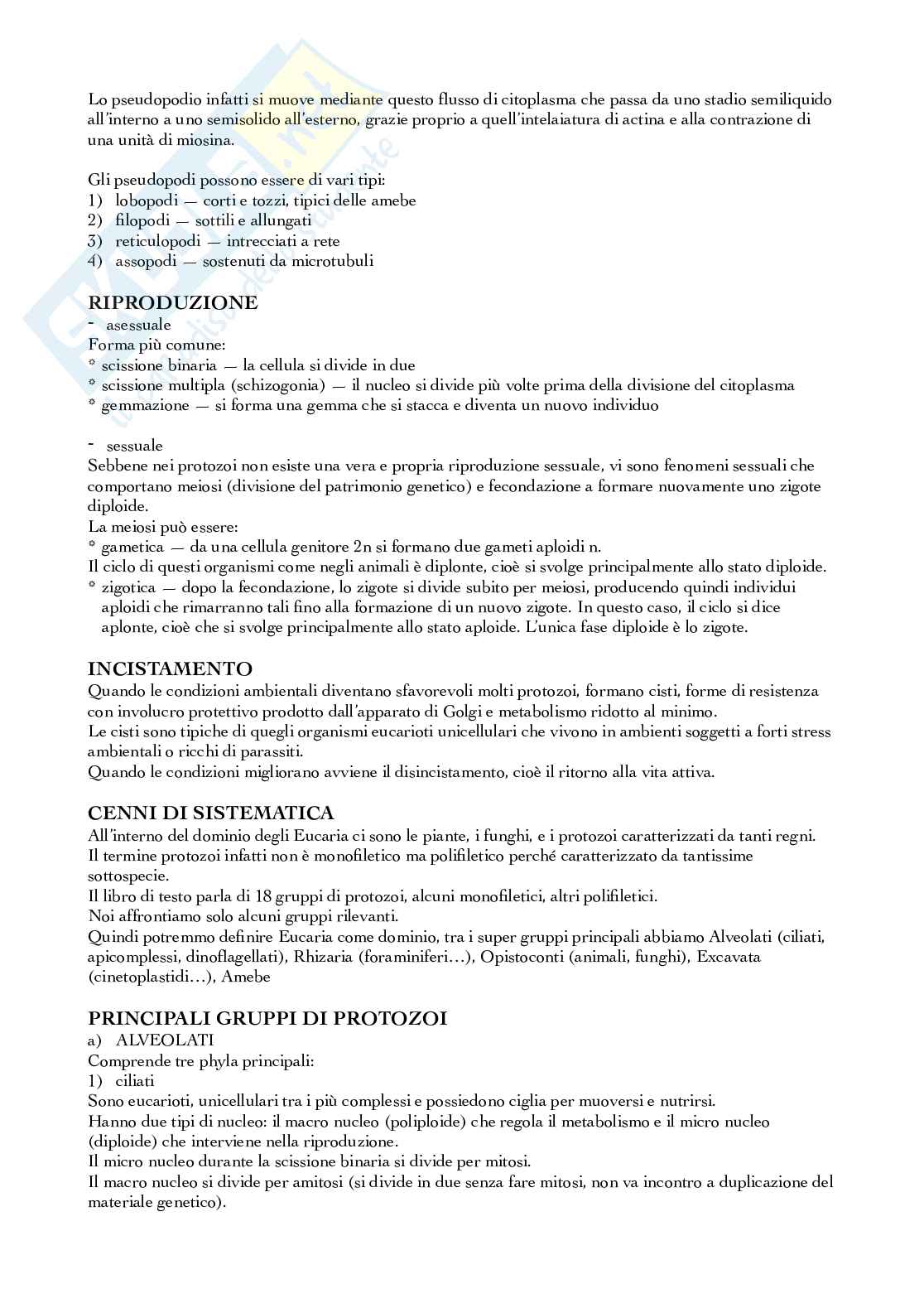 Appunti Zoologia, 2025 / 2026 Pag. 11