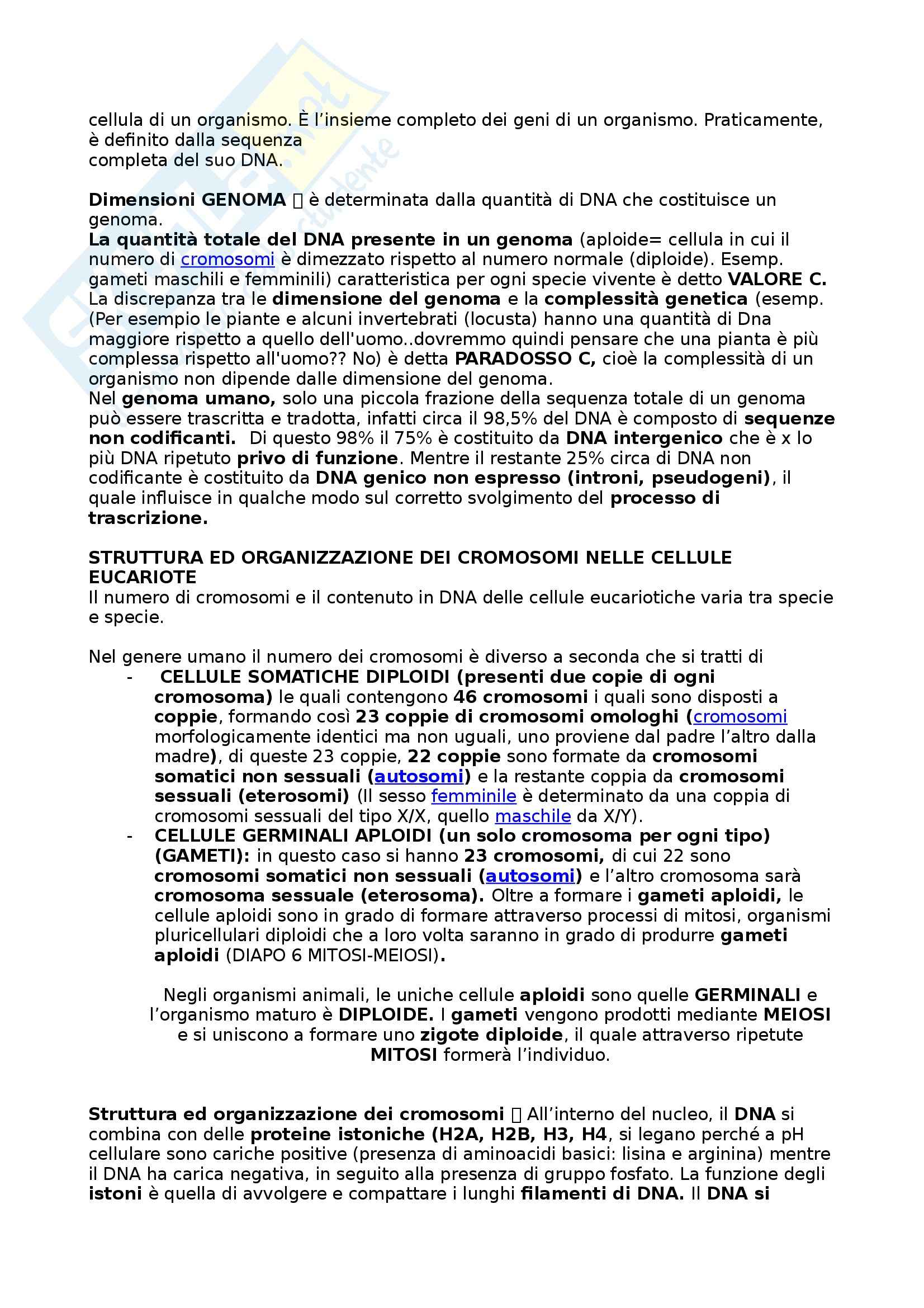 Riassunto esame Biologia umana, prof. Barbieri, libro consigliato La cellula, edizioni Zanichelli Pag. 36