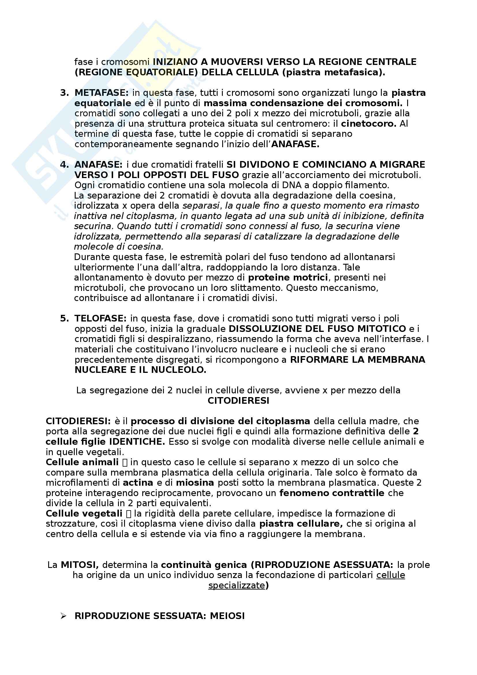 Riassunto esame Biologia umana, prof. Barbieri, libro consigliato La cellula, edizioni Zanichelli Pag. 41