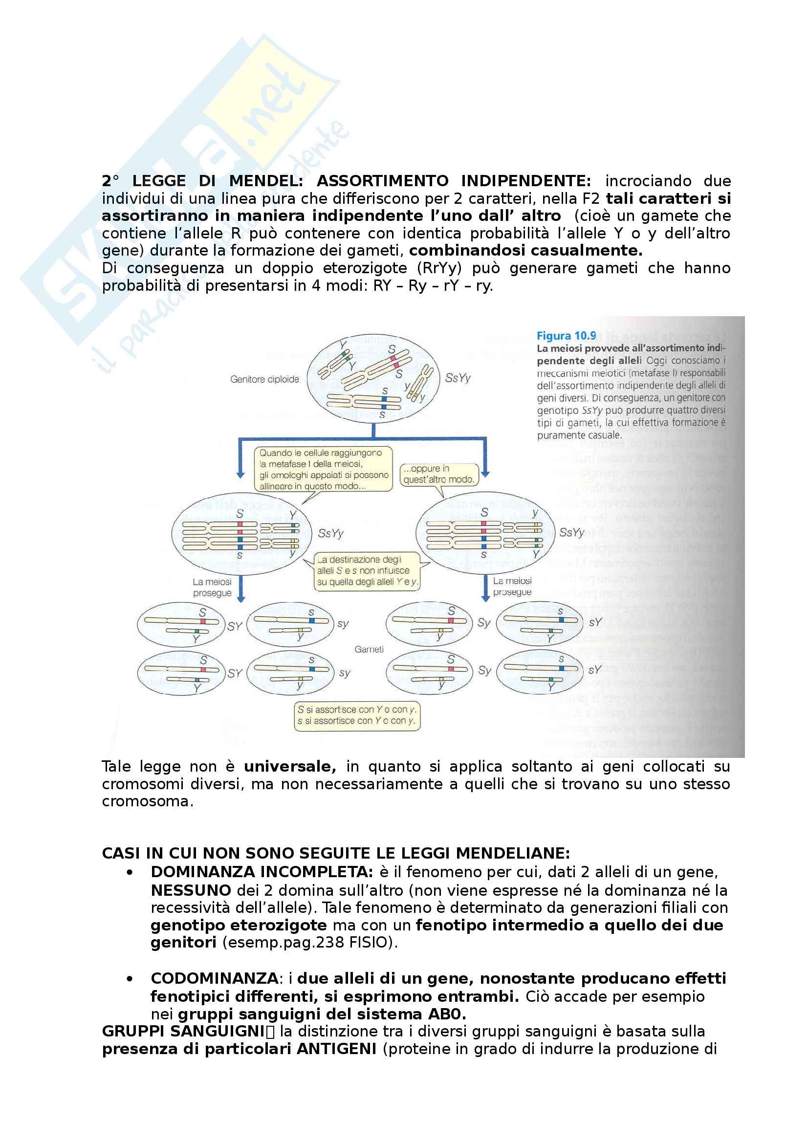 Riassunto esame Biologia umana, prof. Barbieri, libro consigliato La cellula, edizioni Zanichelli Pag. 46