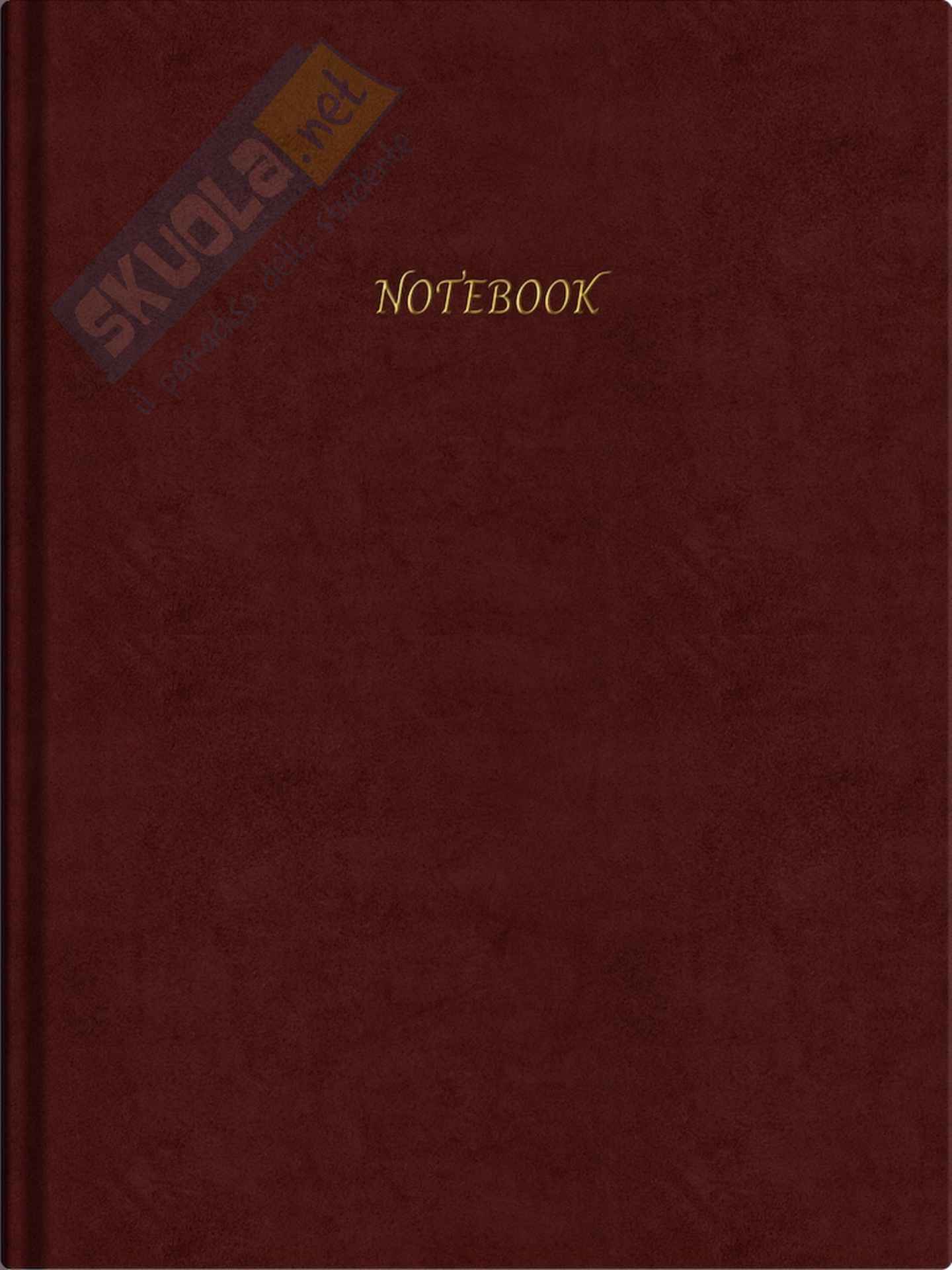 Appunti di Diritto pubblico  Pag. 1