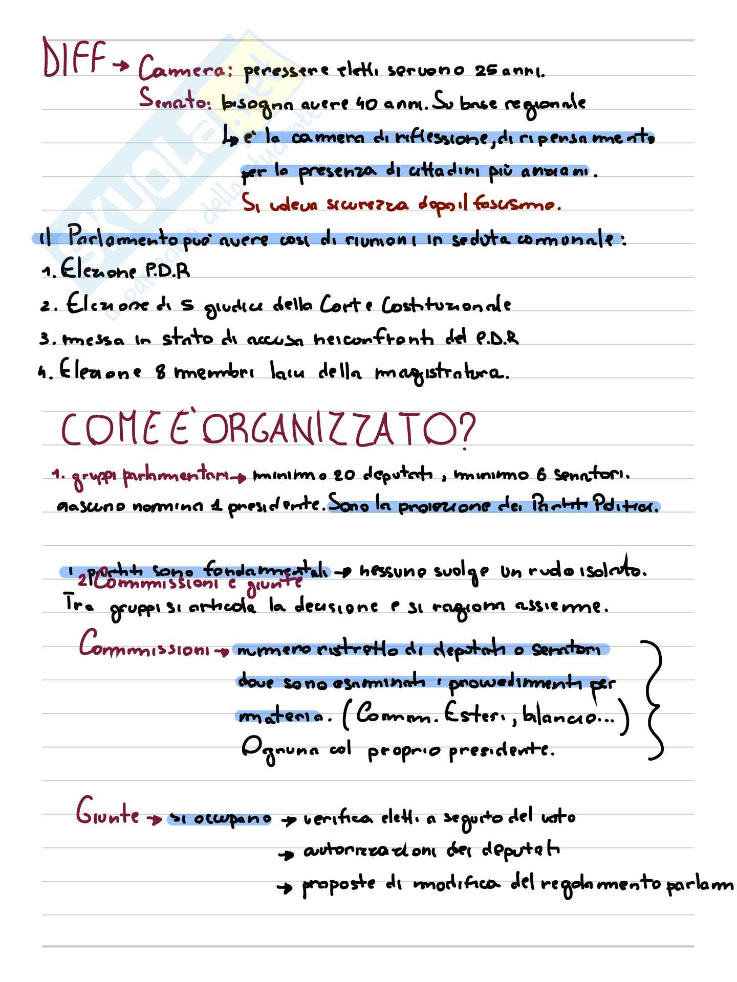 Appunti di Diritto pubblico  Pag. 11