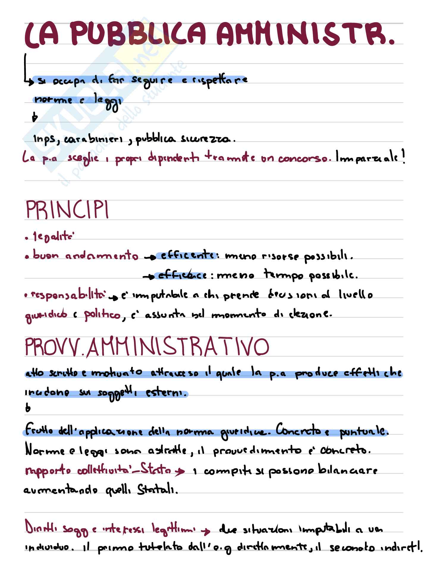 Appunti di Diritto pubblico  Pag. 31