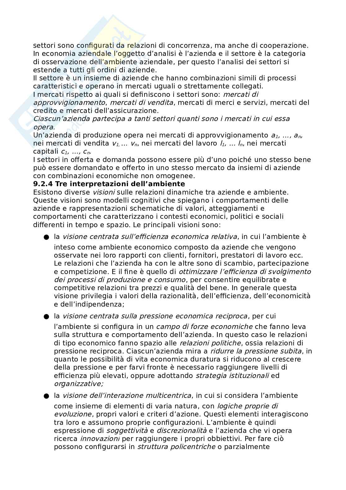 Esame Economia aziendale Pag. 41