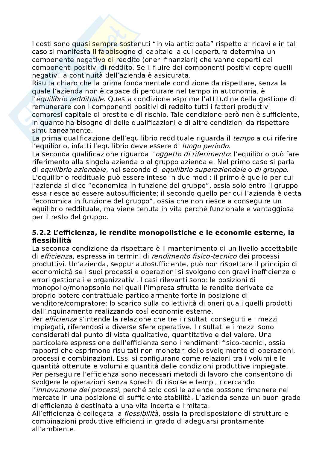 Esame Economia aziendale Pag. 46
