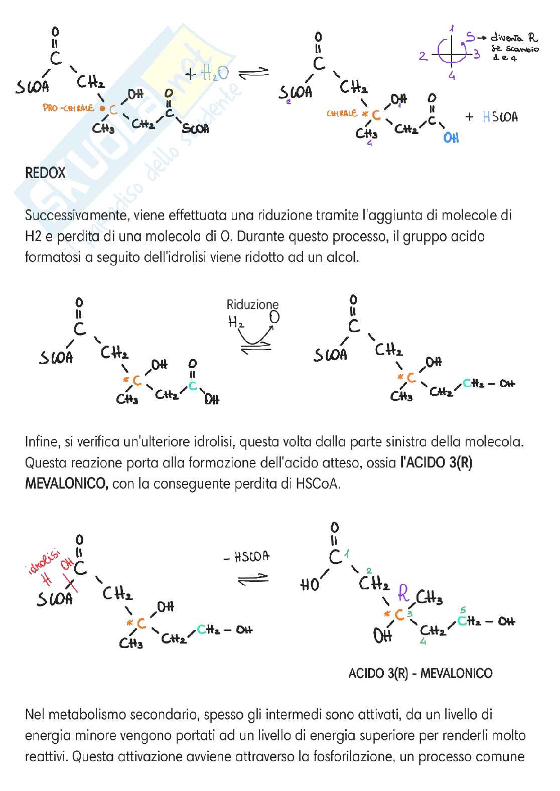 Chimica delle sostanze organiche naturali  Pag. 11