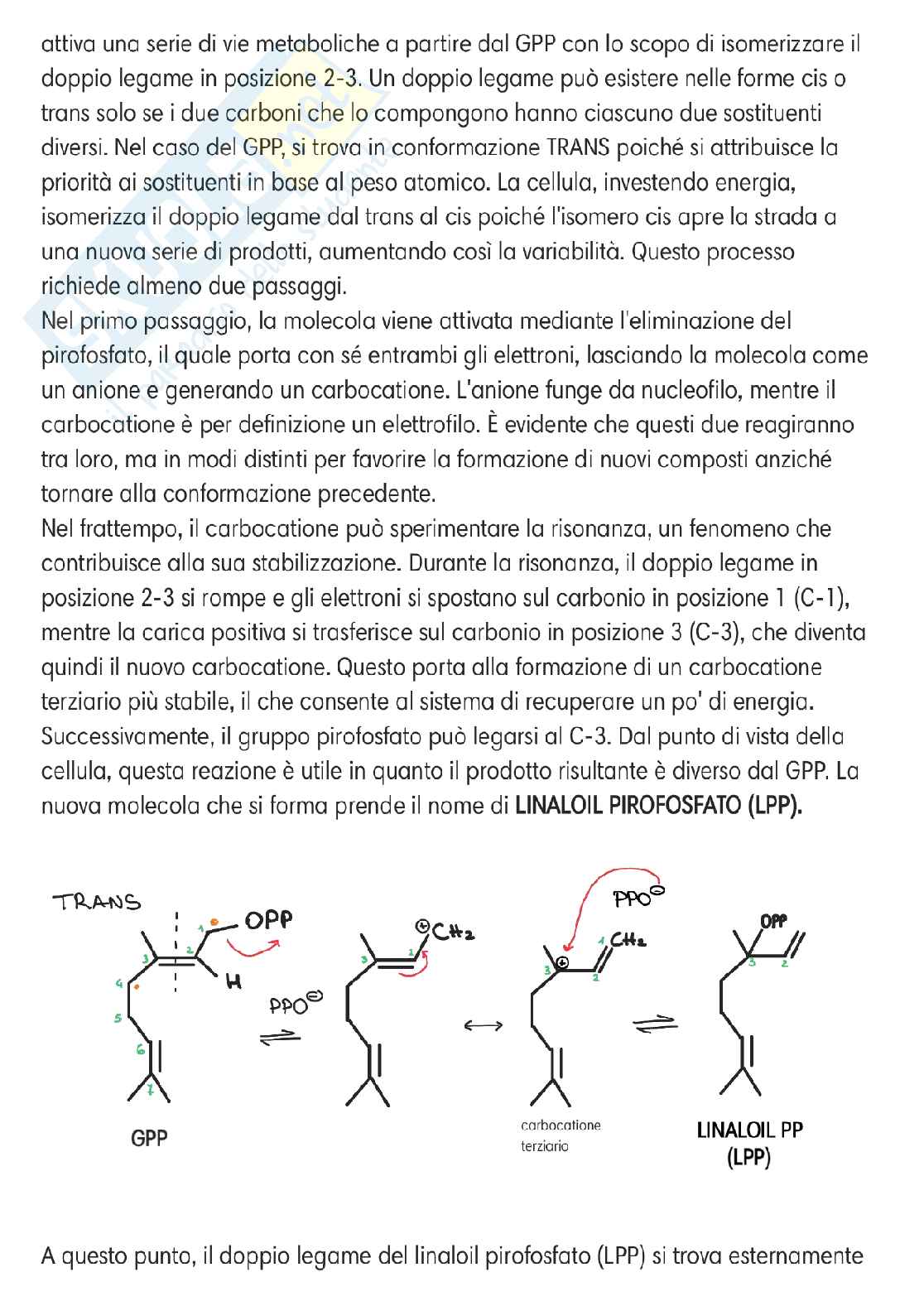 Chimica delle sostanze organiche naturali  Pag. 16