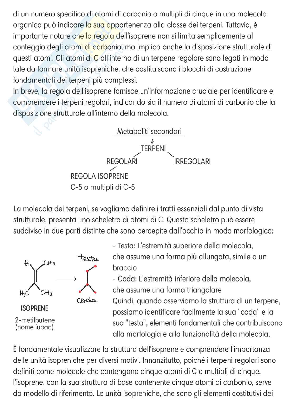Chimica delle sostanze organiche naturali  Pag. 2