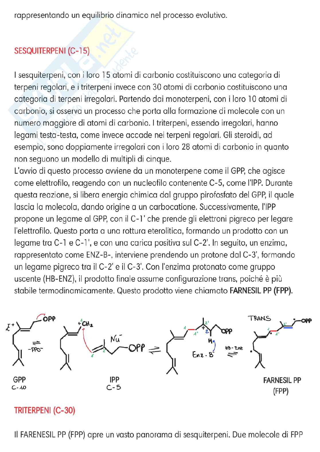 Chimica delle sostanze organiche naturali  Pag. 21