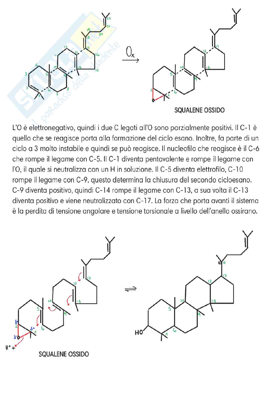 Chimica delle sostanze organiche naturali  Pag. 26