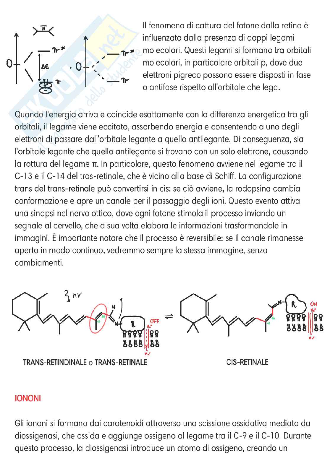 Chimica delle sostanze organiche naturali  Pag. 41
