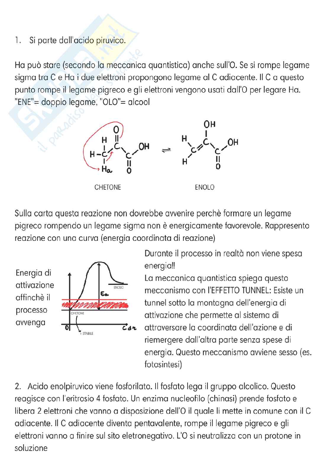 Chimica delle sostanze organiche naturali  Pag. 46