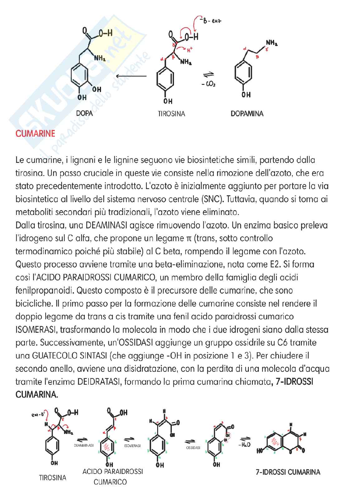 Chimica delle sostanze organiche naturali  Pag. 56
