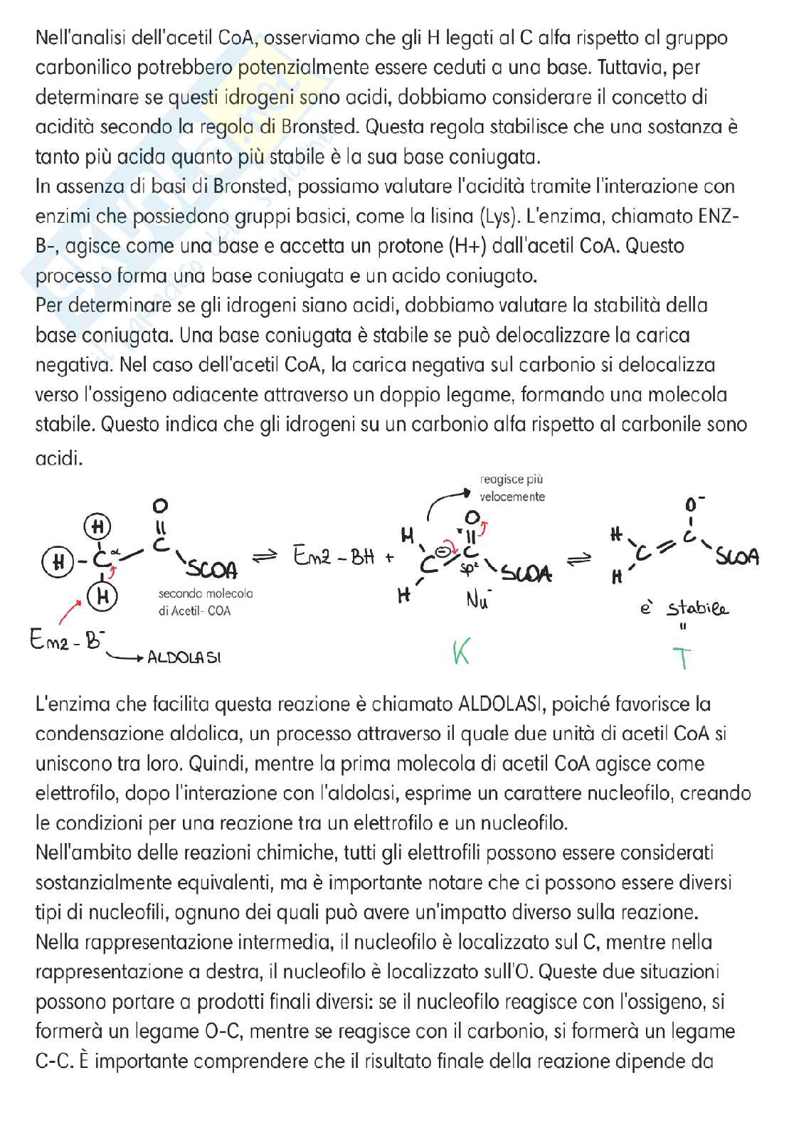 Chimica delle sostanze organiche naturali  Pag. 6